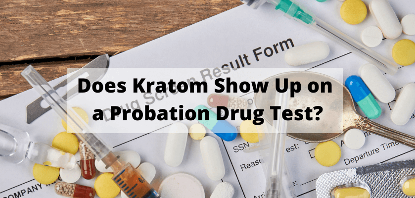 Does Kratom Show Up on a Probation Drug Test?